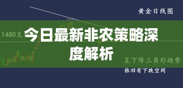 今日最新非農(nóng)策略深度解析