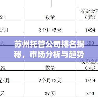 蘇州托管公司排名揭秘，市場分析與趨勢展望