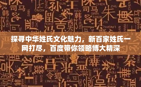 探尋中華姓氏文化魅力，新百家姓氏一網(wǎng)打盡，百度帶你領(lǐng)略博大精深