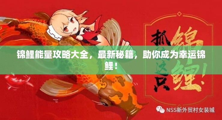 錦鯉能量攻略大全，最新秘籍，助你成為幸運(yùn)錦鯉！