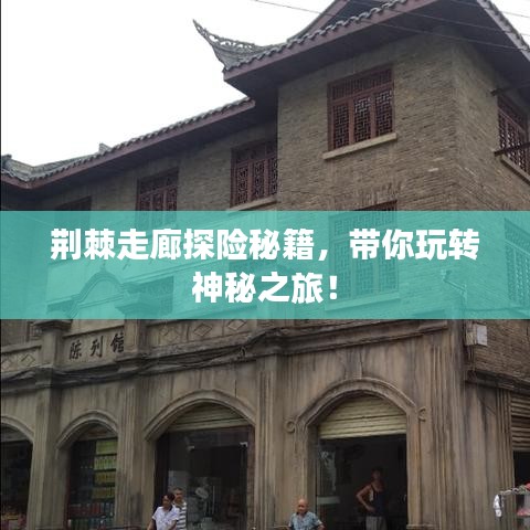 荊棘走廊探險(xiǎn)秘籍，帶你玩轉(zhuǎn)神秘之旅！
