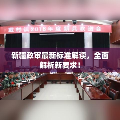 新疆政審最新標(biāo)準(zhǔn)解讀，全面解析新要求！