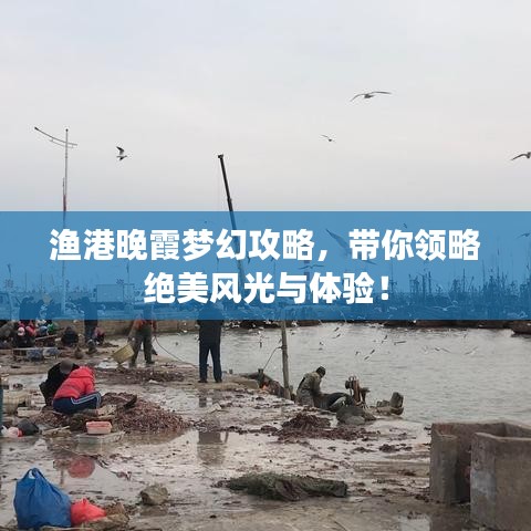 漁港晚霞夢幻攻略，帶你領(lǐng)略絕美風光與體驗！