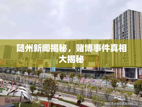 隨州新聞揭秘，賭博事件真相大揭秘