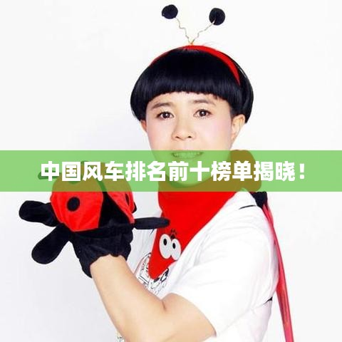 中國風車排名前十榜單揭曉！
