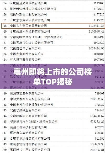 亳州即將上市的公司榜單TOP揭秘