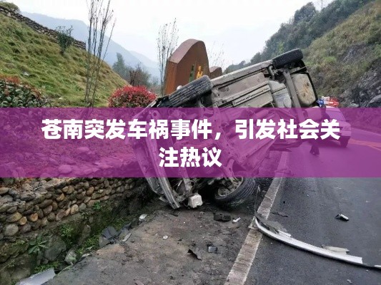 蒼南突發(fā)車禍事件，引發(fā)社會關注熱議