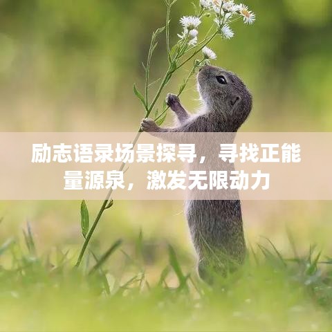 勵志語錄場景探尋，尋找正能量源泉，激發(fā)無限動力