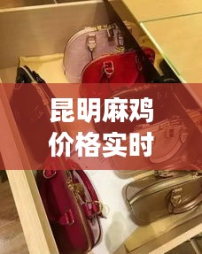 昆明麻雞價(jià)格實(shí)時(shí)更新，最新動(dòng)態(tài)一覽