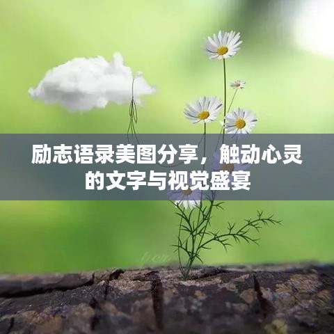 勵(lì)志語(yǔ)錄美圖分享，觸動(dòng)心靈的文字與視覺(jué)盛宴
