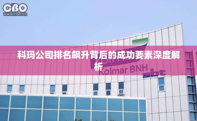 科瑪公司排名飆升背后的成功要素深度解析