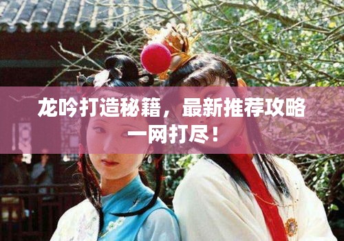 龍吟打造秘籍，最新推薦攻略一網(wǎng)打盡！