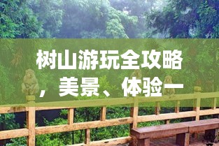 樹山游玩全攻略，美景、體驗(yàn)一網(wǎng)打盡！