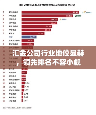 匯金公司行業(yè)地位顯赫，領(lǐng)先排名不容小覷