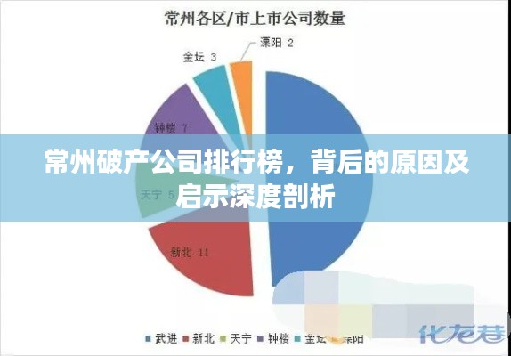 常州破產(chǎn)公司排行榜，背后的原因及啟示深度剖析