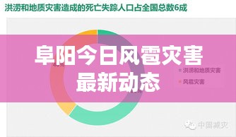 阜陽(yáng)今日風(fēng)雹災(zāi)害最新動(dòng)態(tài)