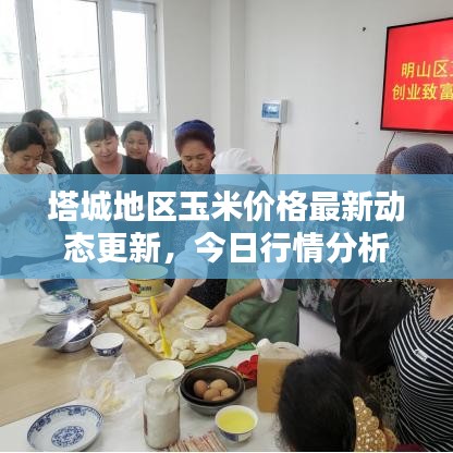 塔城地區(qū)玉米價(jià)格最新動(dòng)態(tài)更新，今日行情分析