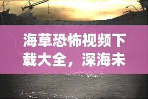 海草恐怖視頻下載大全，深海未知恐懼探索之旅
