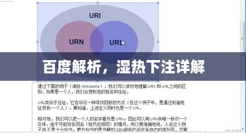 百度解析，濕熱下注詳解