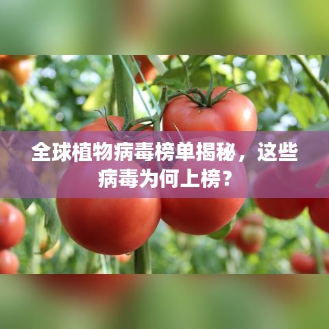 全球植物病毒榜單揭秘，這些病毒為何上榜？