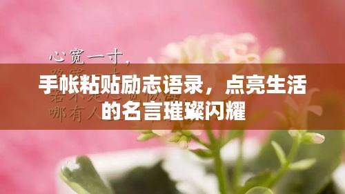 手帳粘貼勵(lì)志語(yǔ)錄，點(diǎn)亮生活的名言璀璨閃耀