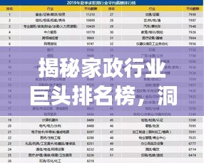 揭秘家政行業(yè)巨頭排名榜，洞悉競(jìng)爭(zhēng)態(tài)勢(shì)與行業(yè)趨勢(shì)