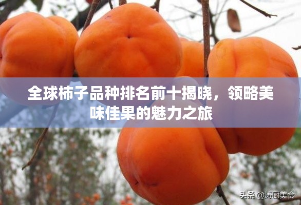全球柿子品種排名前十揭曉，領(lǐng)略美味佳果的魅力之旅