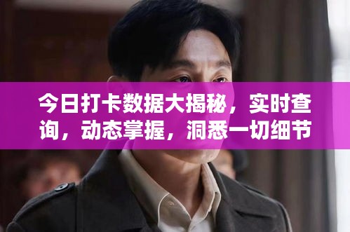 今日打卡數(shù)據(jù)大揭秘，實時查詢，動態(tài)掌握，洞悉一切細節(jié)