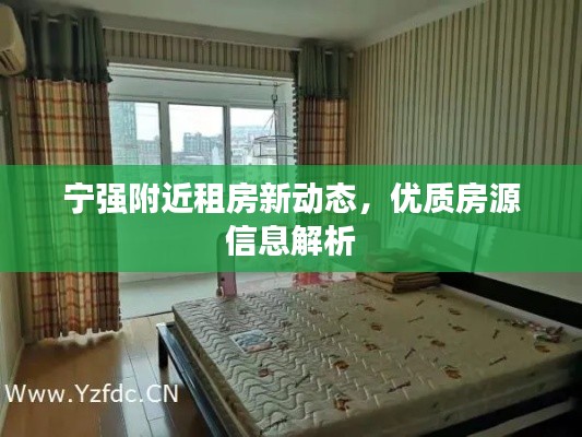 寧強附近租房新動態(tài)，優(yōu)質(zhì)房源信息解析