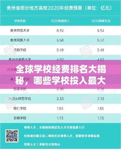 全球?qū)W校經(jīng)費(fèi)排名大揭秘，哪些學(xué)校投入最大？
