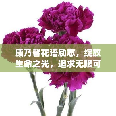 康乃馨花語(yǔ)勵(lì)志，綻放生命之光，追求無(wú)限可能！