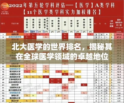北大醫(yī)學(xué)的世界排名，揭秘其在全球醫(yī)學(xué)領(lǐng)域的卓越地位