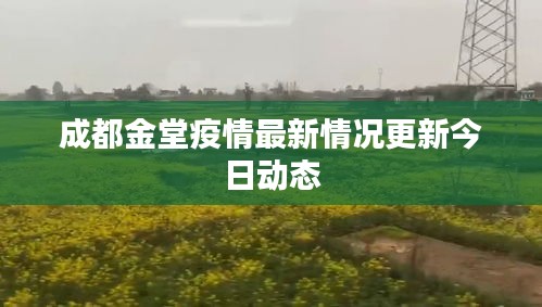 規(guī)模優(yōu)勢(shì) 第18頁(yè)