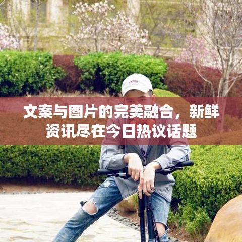 文案與圖片的完美融合，新鮮資訊盡在今日熱議話題