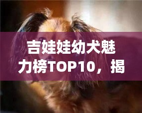 新聞動(dòng)態(tài) 第19頁(yè)