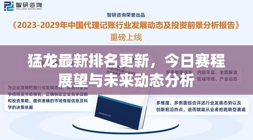 猛龍最新排名更新，今日賽程展望與未來動態(tài)分析