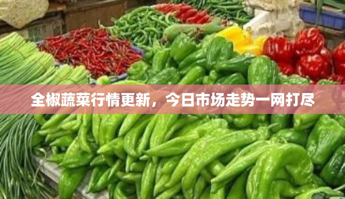全椒蔬菜行情更新，今日市場走勢一網打盡