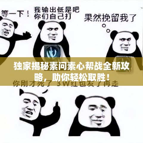 獨家揭秘素問素心幫戰(zhàn)全新攻略，助你輕松取勝！