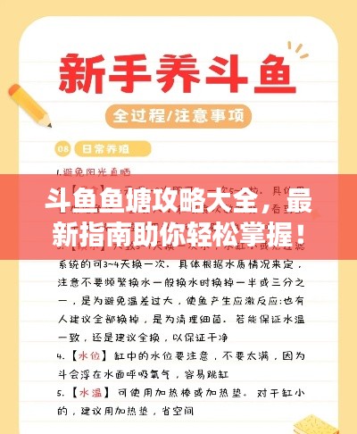 斗魚魚塘攻略大全，最新指南助你輕松掌握！