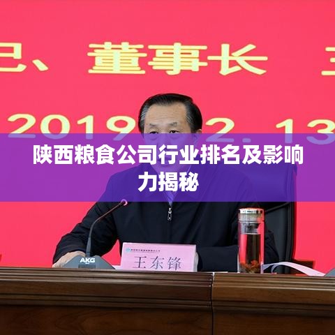 陜西糧食公司行業(yè)排名及影響力揭秘