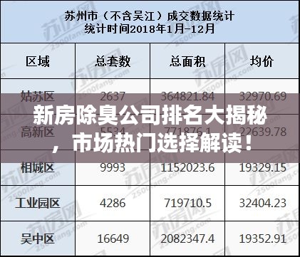 新房除臭公司排名大揭秘，市場熱門選擇解讀！