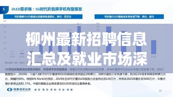 柳州最新招聘信息匯總及就業(yè)市場(chǎng)深度解析