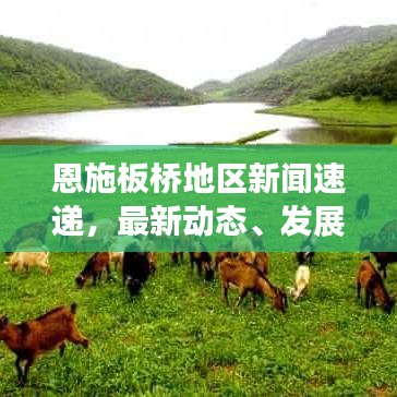 恩施板橋地區(qū)新聞速遞，最新動態(tài)、發(fā)展展望